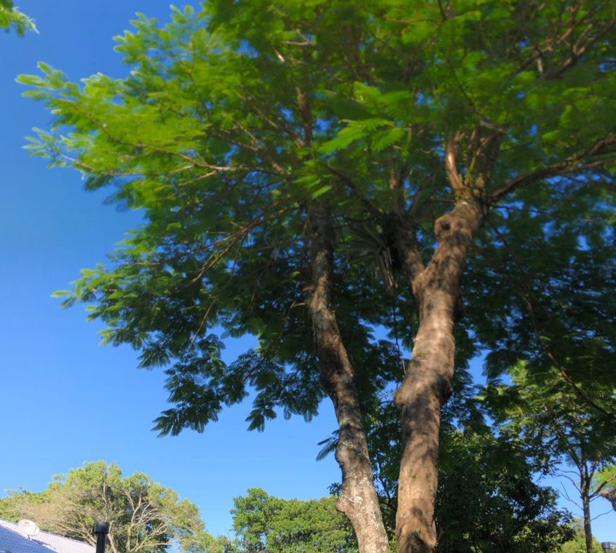 Bico do Pelicano Chalés – Praia de Cima, Pinheira SC