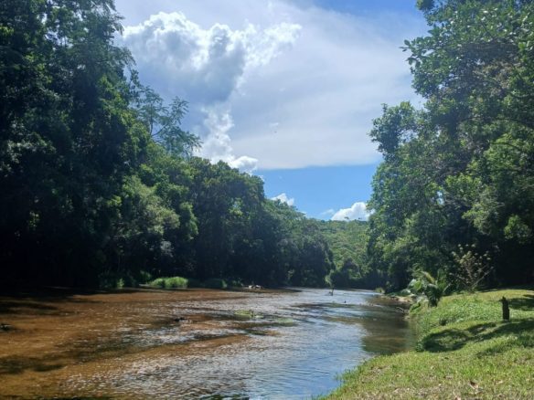 Paz, conforto e contato com a natureza