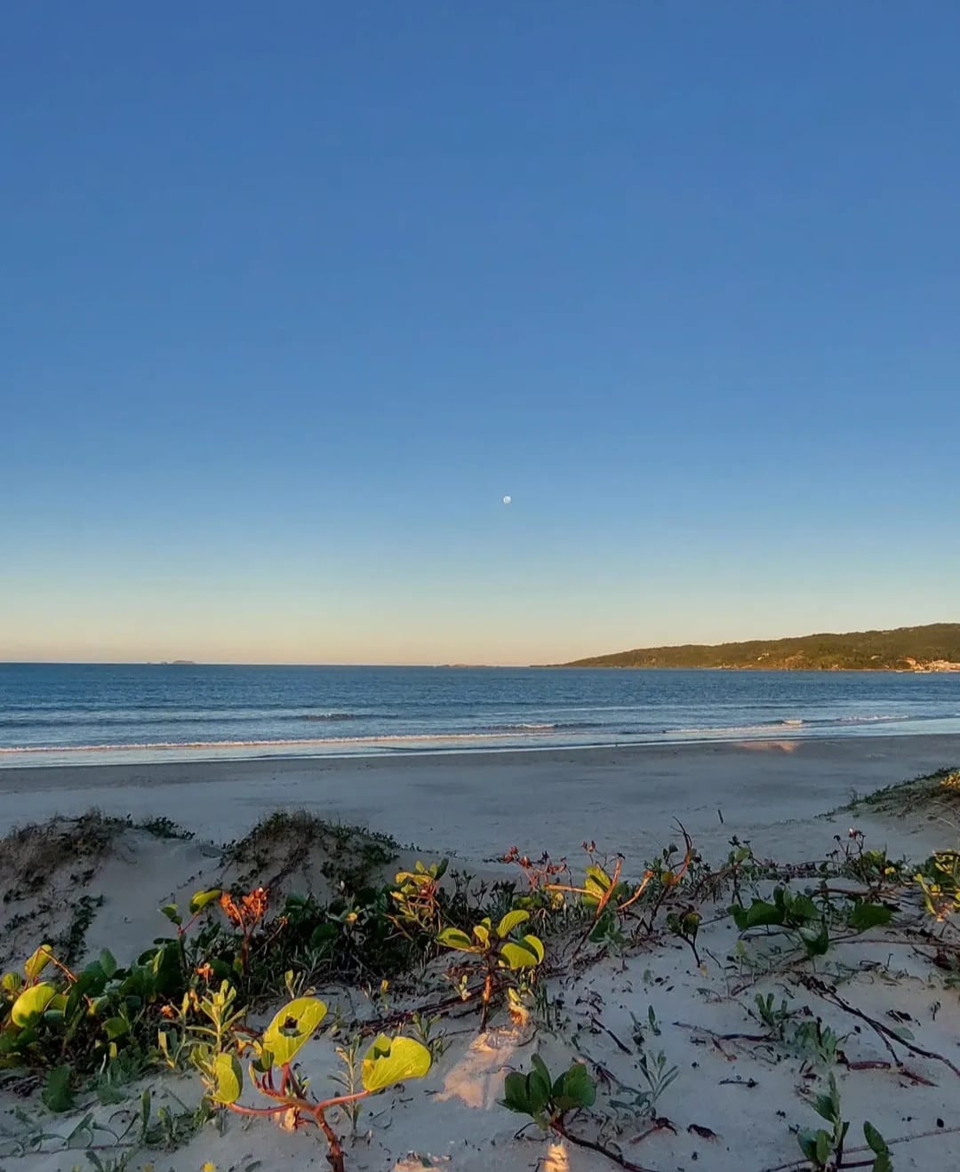 WhatsApp Image 2025-12-26 at 09.01.39